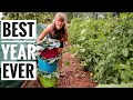 This Should Restock Our Pantry | Morning Garden Harvest