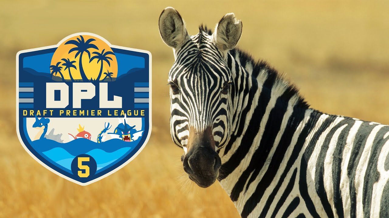 DPL Season 5 Auction Highlights