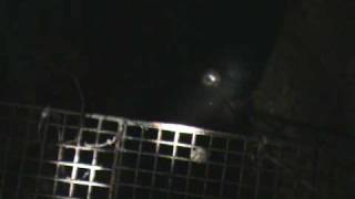 Devil's well 3
