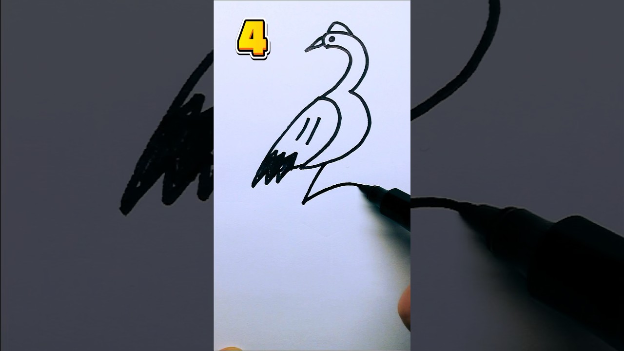 Drawing a bird with numbers step by step 