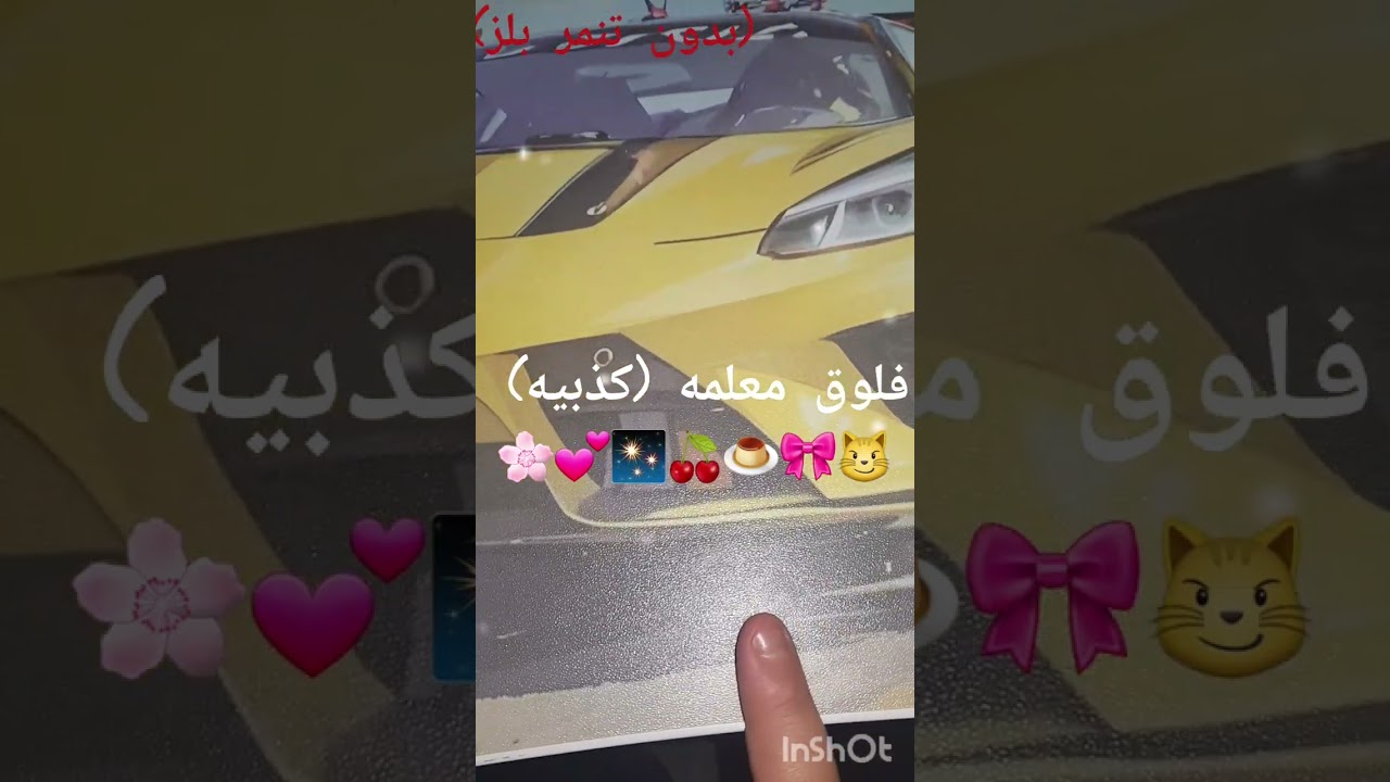 ادري خايس بس نو بربلم؟ 😼