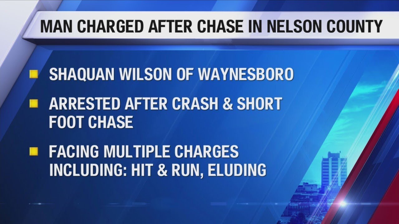 Man in custody after allegedly leading deputies on chase in Nelson ...