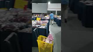 Download Lagu SEMPAT LA BELI BEBERAPA HELAI SEBELUM SABELLA ISTIHAR BANKRUP MP3