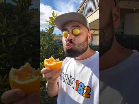 Why Eat My Oranges Yp376