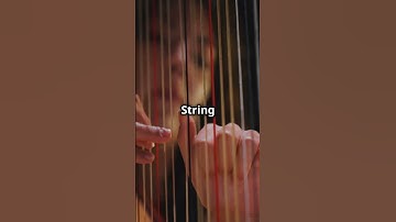 The Magic of String Instruments! 🎻✨