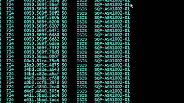 Cisco Overlay Transport Virtualization - Bilal