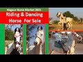बिकाऊ राइडिंग , डांसिंग  घोड़े और बछेरे  Nagaur Pashu Mela 2021 Horse Market In India Horse Video