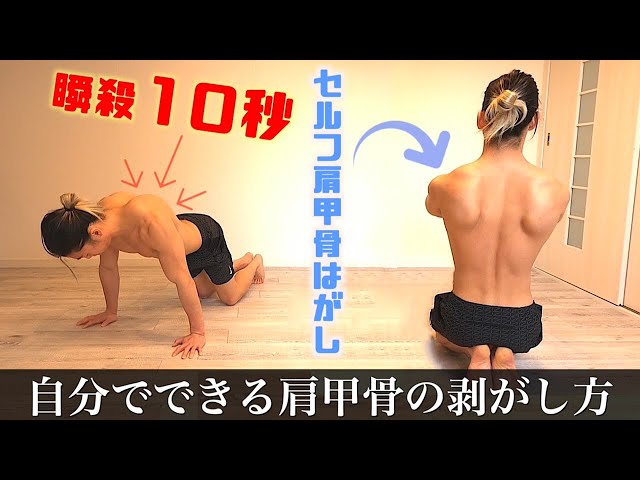 aki-hisa ELECTRO 肩甲骨剥がし　ボディ　フェイシャル 肩甲骨はがしピロー 肩甲骨ピロー 肩胛骨はがし 健康グッズ 背筋