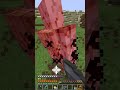 How to elytra mace #minecraft #minecraftshorts