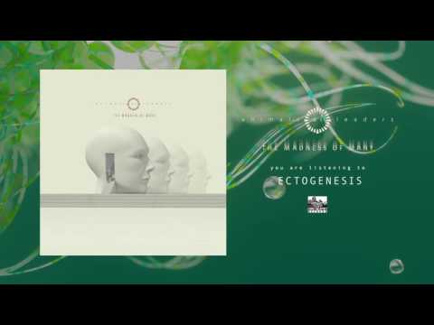 ANIMALS AS LEADERS - Ectogenesis