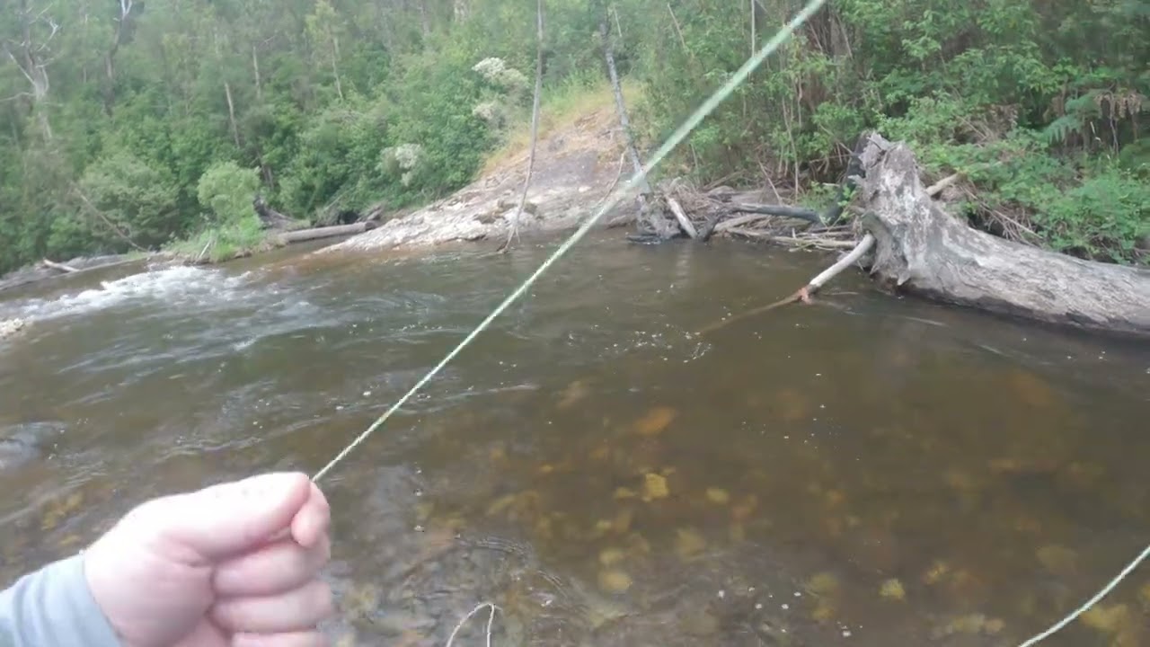 FlyFishing trip to Goulburn Valley, Victoria, Australia