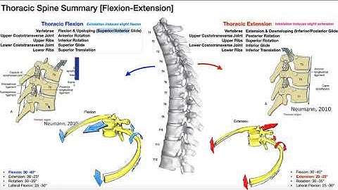 RE-UPLOAD: Rib Movements | Coupled with Thoracic Flexion & Extension
