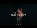 Peace and quiet music  ben the real