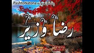 #razawazir #tarana رضا وزیر شکلی ترانه