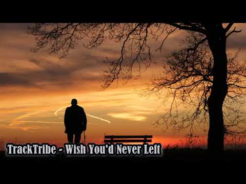 TrackTribe - Wish You'd Never Left