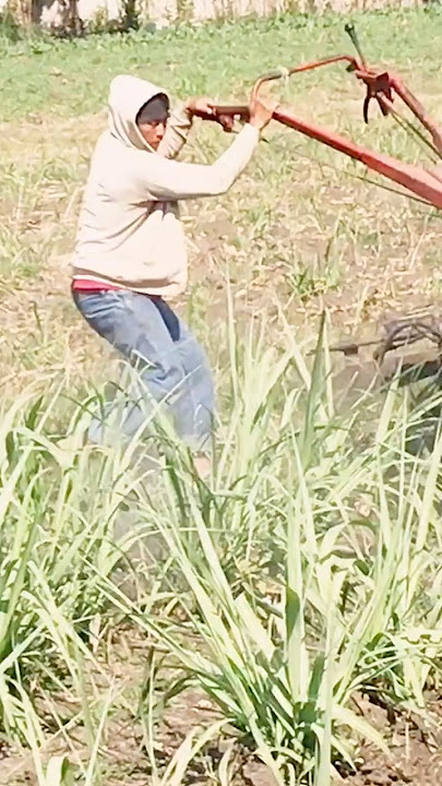 Ngengkol Diesel Dongfeng Saat kerja  #diesel #shorts #dongfeng