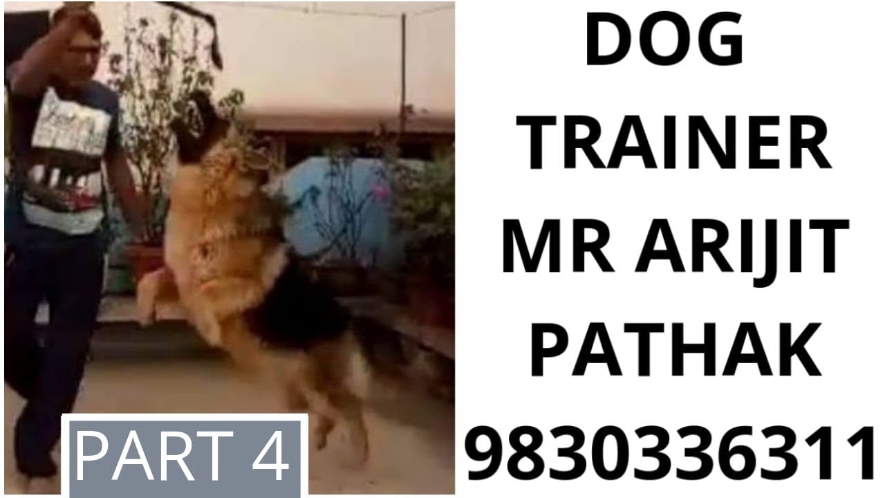 #naturephotoday Train Your Dog?with unique words|DOG TRAINER |PART- 4|कुत्ते की प्रशिक्षण |(ट्रेनर) with Subtitle