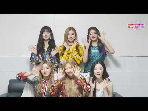 (G)I-DLE JAPAN OFFICIAL SITE OPEN MESSAGE