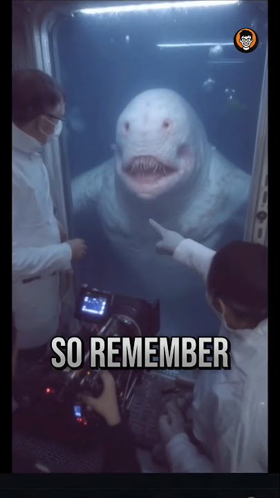 THESE OCEAN CREATURES πCAN EAT YOU ALIVE π