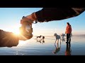 I asked strangers to take a photo of their dog in tofino bc