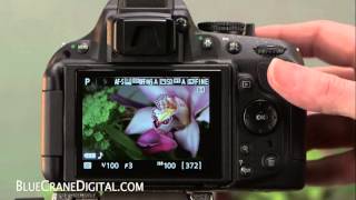 Introduction To The Nikon D5200 Basic Controls