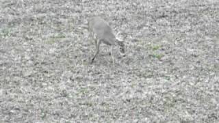 DSCN0341.avi