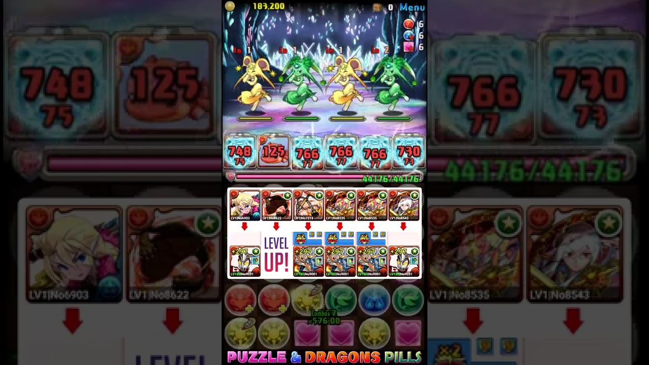 Puzzle & Dragons Intensive Training Cave Leo + ShivaDra
