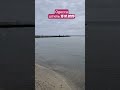 Одесса штиль в октябре 2025 #odessa #море #sea #отдых #beach #пляж