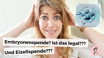 Ist eine Embryonenspende in Deutschland erlaubt?