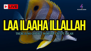 LAILAHAILLALLAH: Peaceful Dzikir for a Calm Mind And Reduce Strees#40