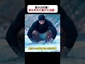 驚きの釣果！ 男の手作り罠が大活躍！ #釣りの達人 #川釣り #手作り罠 #魚の捕獲方法 #驚きの釣果