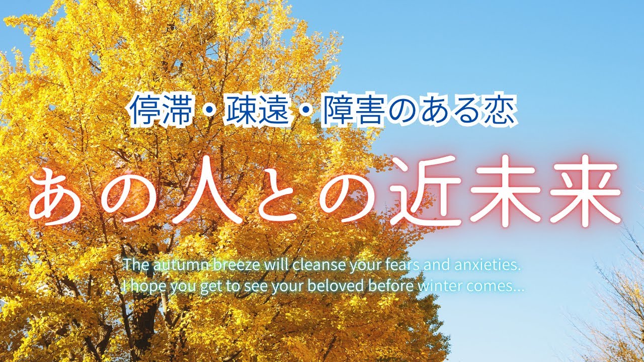 あの人との近未来🍀停滞・疎遠・障害のある恋⭐辛口あります