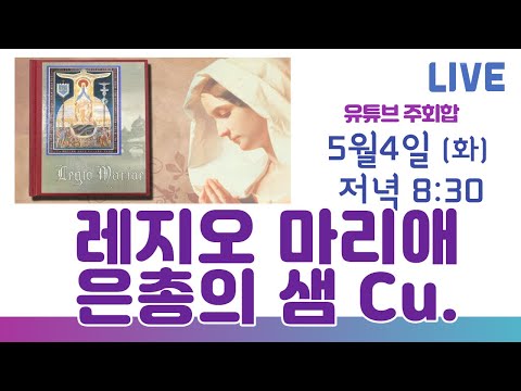 영상썸네일