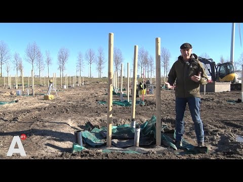 Video: Wat is de snelst groeiende bloeiende boom?