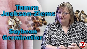 Soybean Germination with Dr. Tamra Jackson-Ziems | March 29, 2019