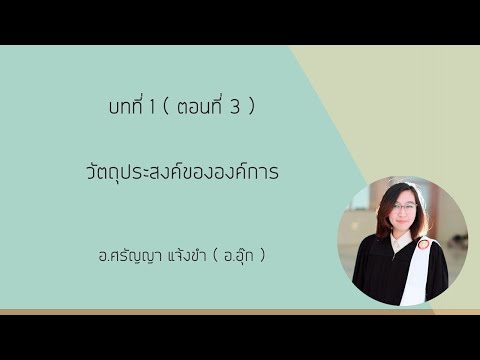 วีดีโอ: วัตถุประสงค์หลักขององค์กรคืออะไร?