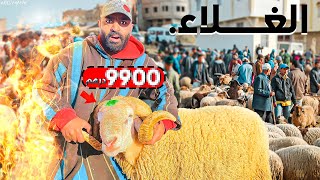 يوم جديد في المغرب 🇲🇦 سوق حد حرارة ثمن الحولي عيد الأضحى 🐑🤯 19 mai 2024