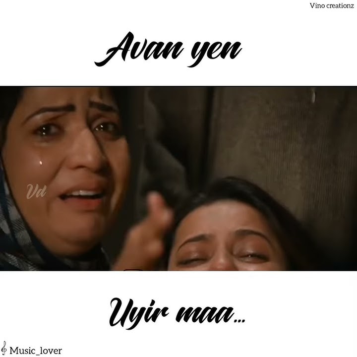 Girls love feel dialogue...💞whatsapp status...