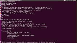 Famous C++ | Passing Const Pointer Bug Hunting 2 Net Worth