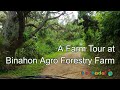 Binahon Agro Forestry Farm Tour