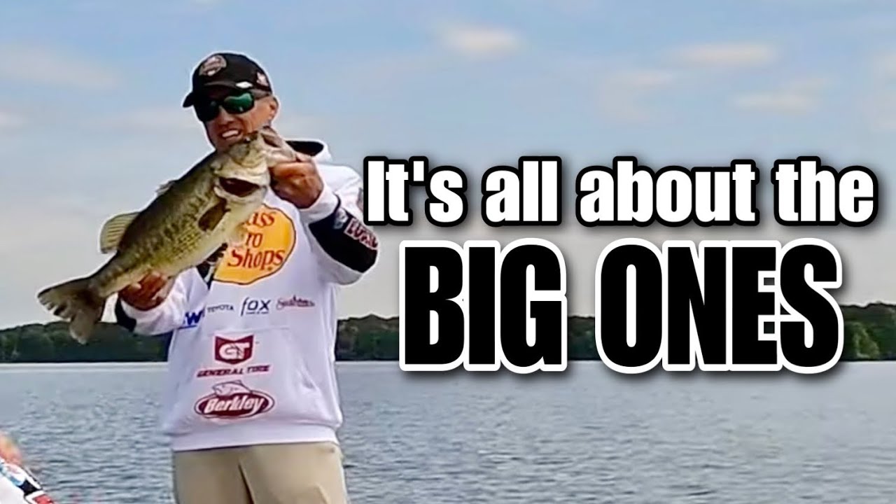 MLF HEAVY HITTERS Recap Pt 1 YouTube mlf-heavy-hitters-recap-pt-1-youtube