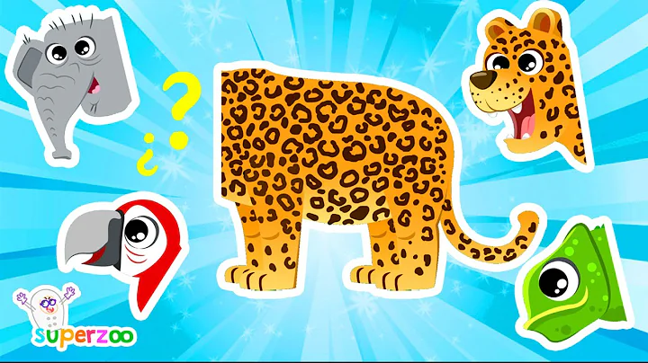 🐆 What kind of animal is the leopard? Learn about the jungle with the Superzoo team!