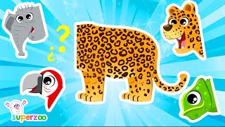 🐆 What kind of animal is the leopard? Learn about the jungle with the Superzoo team! screenshot 5