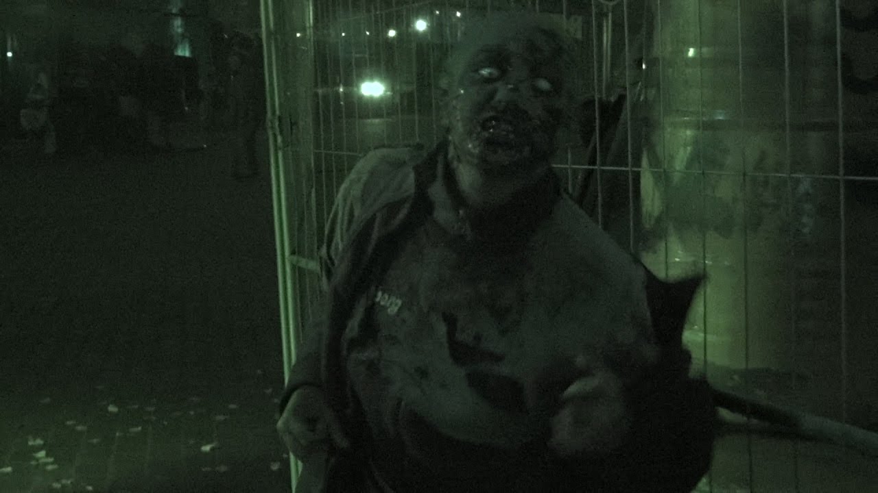 Bildresultat för halloween liseberg