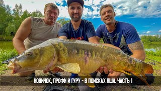 видео: Как поймать трофейного карпа на флет фидер? Огромный карп не порвал леску! Рыбалка для души. картинка: Как поймать трофейного карпа на флет фидер? Огромный карп не порвал леску! Рыбалка для души.