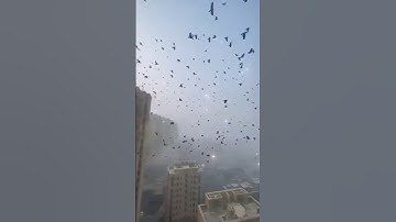 7/12 thế giới chìm trong bóng tối hiện tượng thiên nhiên lạ xuất hiện