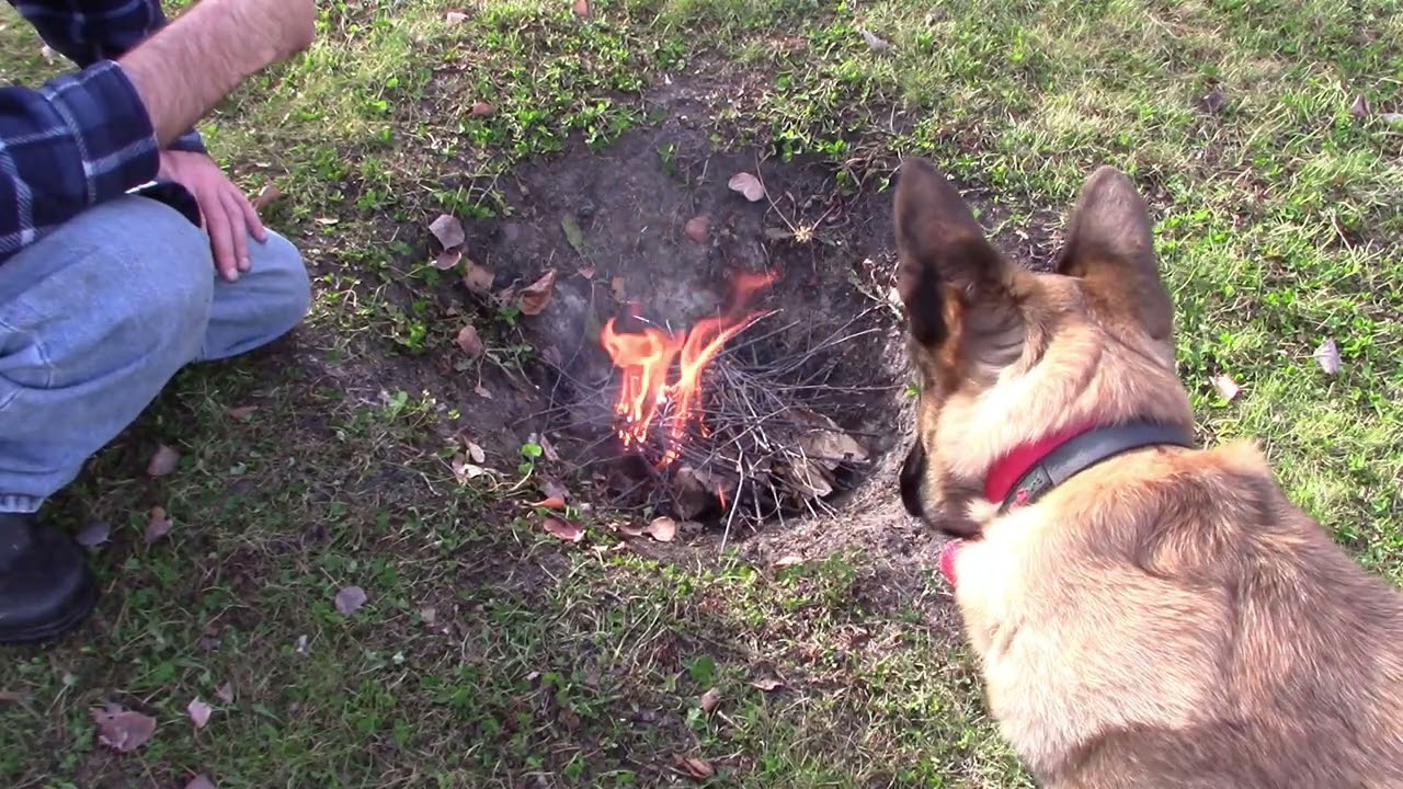 Биоуголь. Как производить высококачественный древесный уголь для лучшего биоугля.