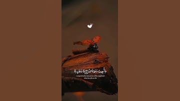 #القرآن_الكريم #اكسبلور #تلاوة_خاشعة #الرحمن #لايك #يارب