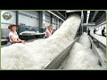 How Sea Salt Is Made &ndash; Incredible Million Tons of Sea Salt Farming & Processing