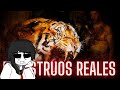 EDHEN REACCIONA A MONSTRUOS REALES TOP 6 devoradores de hombres